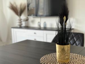 Appartement Moervig