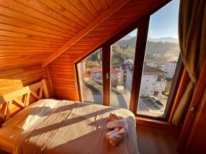 Falez Cafe&Restaurant&Pansiyon-Arhavi