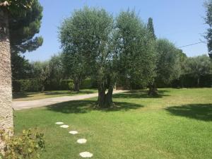 Villas Magnifique Villa Moderne Avec Piscine : photos des chambres