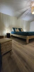 Ananas Coco - 萨拉济