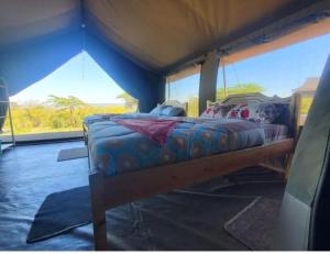 Emayian sekenani camp