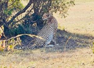 Emayian sekenani camp