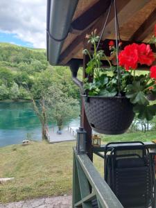 Brvnara na obali reke Drine