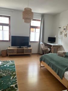 Grünspecht am Klein Venedig, zentral mit Balkon, Arbeitsplatz, Küche, Badewanne etc