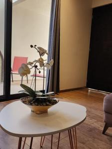 Mateo place ideal for your next visit to San Miguel