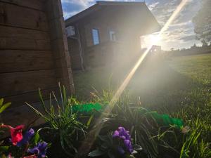 Domki Letniskowe przy Strażnicy