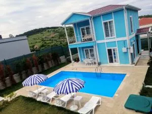 Villaferhat mavi - Geredeli