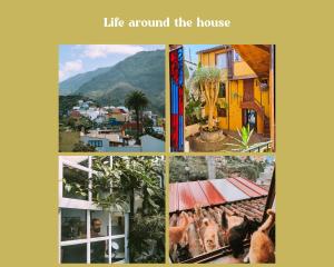 Tulia Guesthouse & Coworking