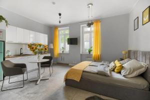 Spacious Apartament in the heart of Poznań