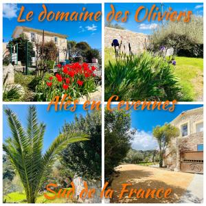 Appartements Le domaine des Oliviers ALES Piscine Jacuzzi Sauna : photos des chambres