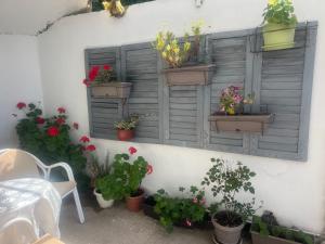 Apartmani Dabovic