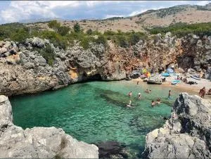 Camping Aquarium - جال