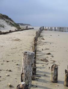 Appartements Charmant studio en bord de mer : photos des chambres