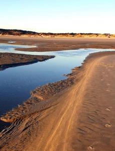 Appartements Charmant studio en bord de mer : photos des chambres