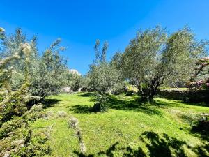 Appartements Le domaine des Oliviers ALES Piscine Jacuzzi Sauna : photos des chambres