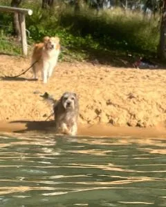 Anchors Away at Innes Park Opp Park & Beach dogs welcome inside - Pemberton