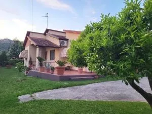 The House of Citrus - amazing country house near Viareggio beach and Lucca - Stiava