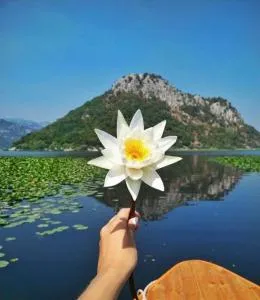 Gazivoda apartman - Žabljak