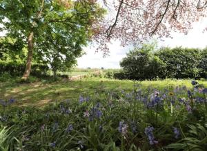 Countryside Pod Retreat