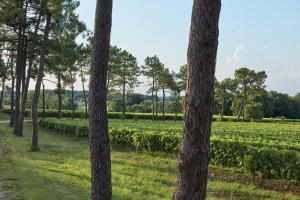 B&B / Chambres d'hotes Domaine Maze Churchill : photos des chambres