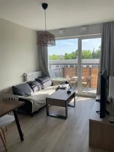 Cosy new apartment with Netflix - 马佐夫舍地区奥扎鲁夫