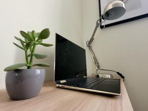 Dynastie 21 - Appartement 4 personnes Dijon Centre