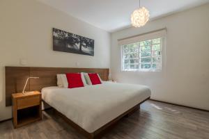 OM 686 URBAN LOFTS Narvarte