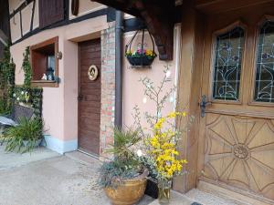 Maisons de vacances Gite alsacien renove avec jardin pres de la Suisse et de l'Allemagne, ideal pour familles et amis - FR-1-744-29 : Maison de Vacances