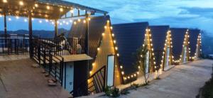 Mây House – Sống Lưng Khủng Long