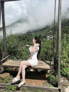 Mây House – Sống Lưng Khủng Long