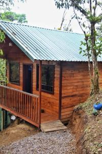 Cabañas rabbit hole