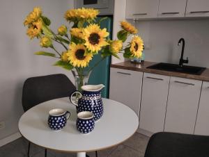 Spacious Apartament in the heart of Poznań