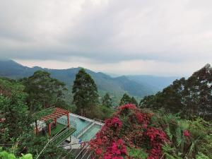 Fragrant Nature Munnar - A Five Star Classified Hotel