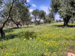 Villa con 3 Camere da Letto