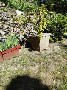 B&B / Chambres d'hotes Cambrassa : Chambre Double
