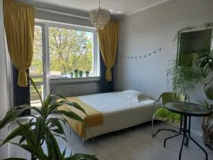 Duży dwuosobowy pokój blisko centrum z balkonem - Emaus