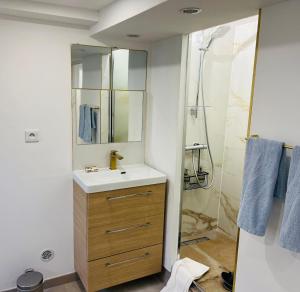 Appartements Appart Jardin Lac Casino Enghien Les Bains 15 min Paris : photos des chambres