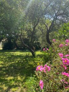 Maisons de vacances charme, calme et authenticite cote des legendes : photos des chambres