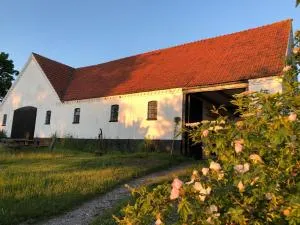 Camønogaarden B&B, darksky cabins and events - Borre