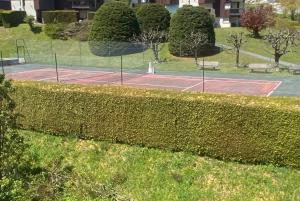 Appartements appartement 103m2 pres de Megeve, face a telecabine la Princesse,2 chambres , garage, local a ski : photos des chambres