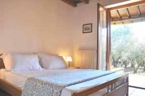 Montecasciano - Glicine