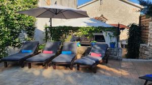 Villa Kažun with private pool and two gardens