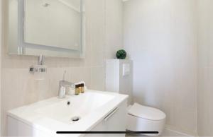 Palais des Festival view