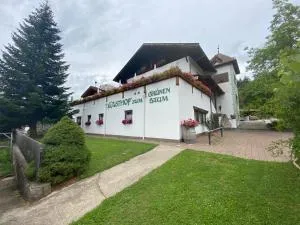 Albero Verde - Eschio