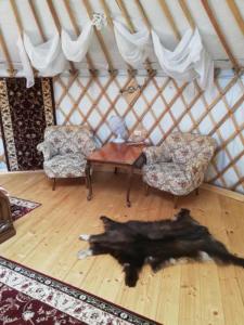 Mennyország Jurta Hotel