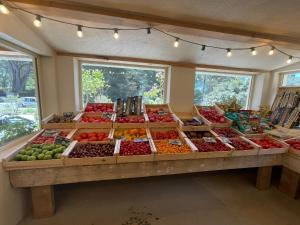 Villas Petite Toscane Villa close to Aix en Provence : photos des chambres