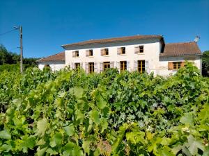 Maisons de vacances Chateau Fongiras 11 personnes Medoc : photos des chambres