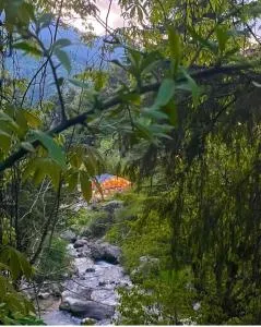 Mystic Vibes - Jibhi - Shoja