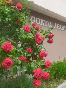 Gonda Apartments - Praskačka