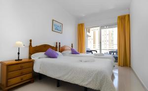 Homeincalpe Apolo XIV